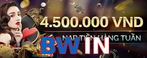 BWIN